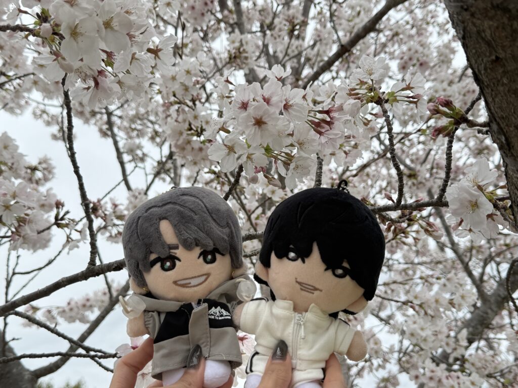 静岡エコパアリーナの桜を背景にした、ライブの公式ぬいぐるみの写真