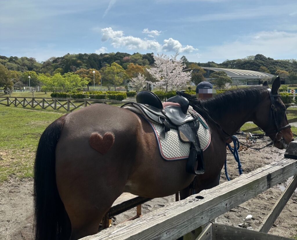 つま恋リゾート彩の郷で体験した、乗馬体験の馬（ニックくん）のお尻のハートマーク