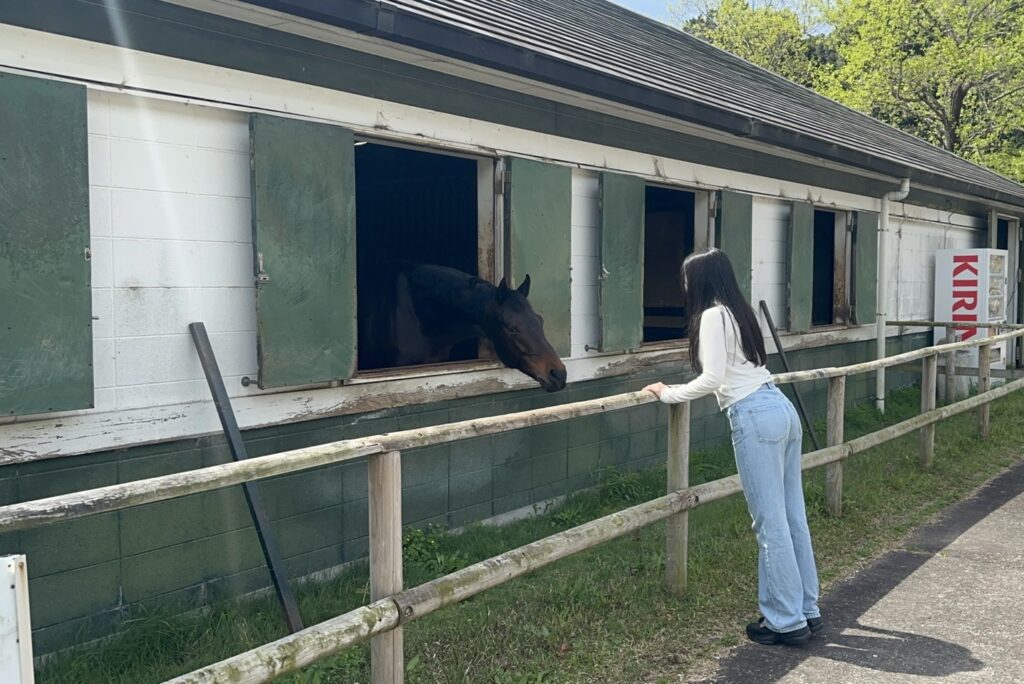 私が話しかけると顔を出して聞いてくれるお馬さん