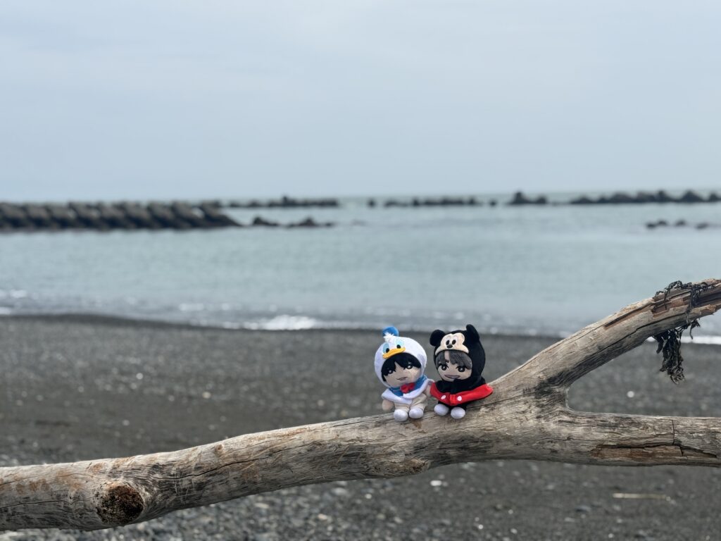 用宗の海岸で公式ぬいぐるみの撮影会