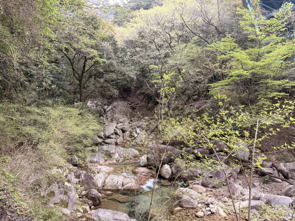 穏やかな登山道