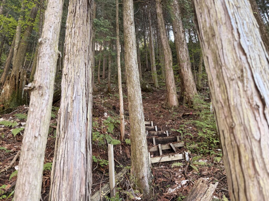 登山口早々に登場する階段
