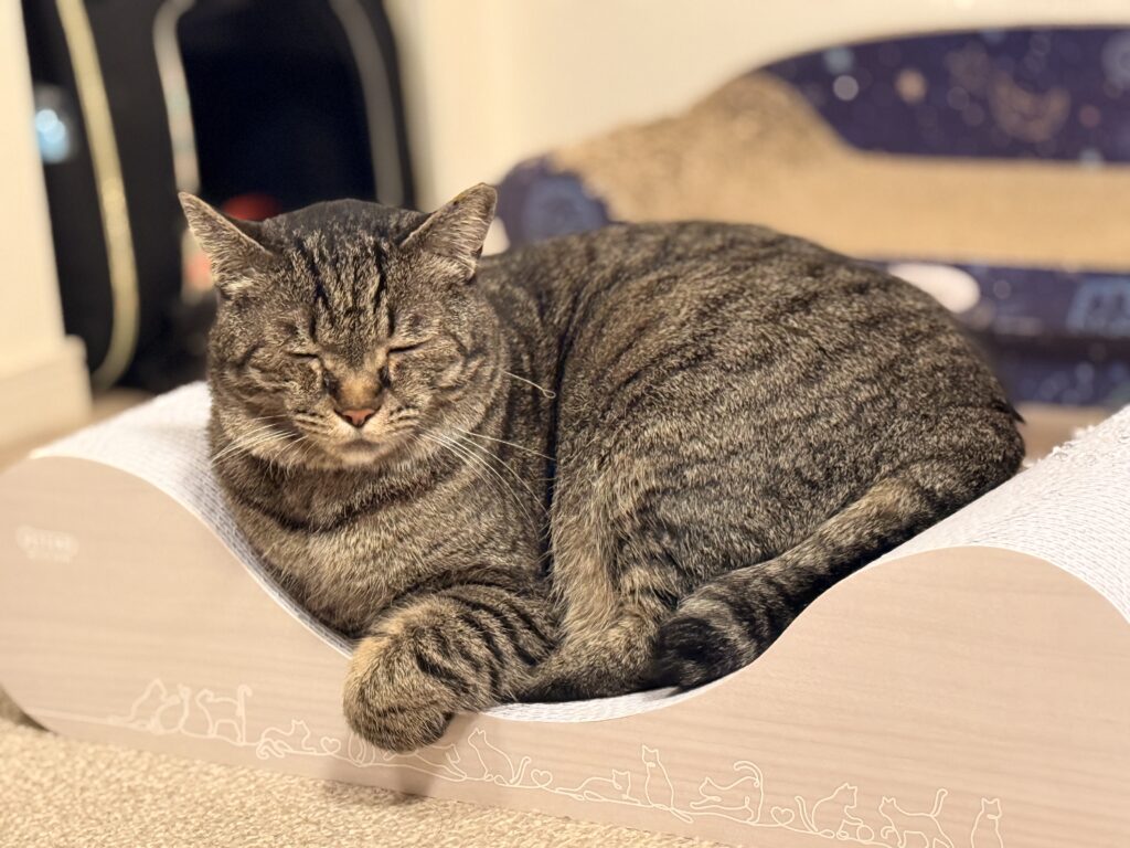 お留守番をしてくれたイーちゃん