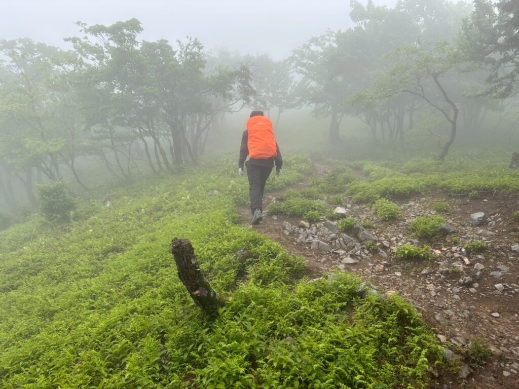 雲の中を歩くハリーGの後ろ姿
