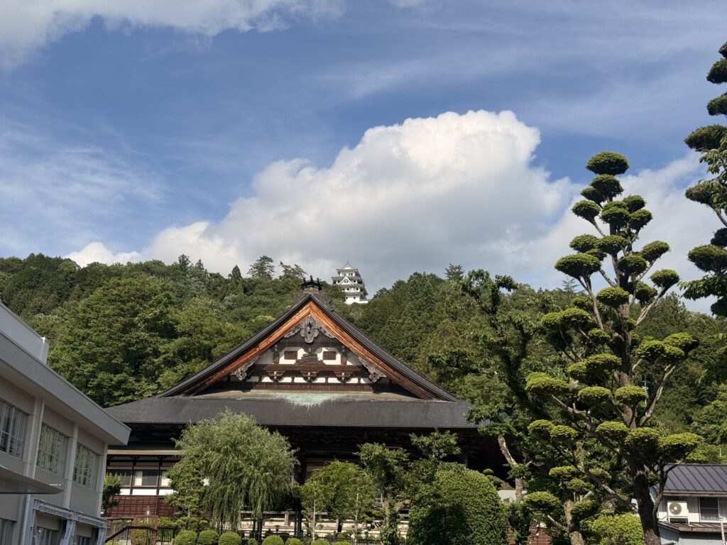お寺の奥に郡上八幡城が見えます