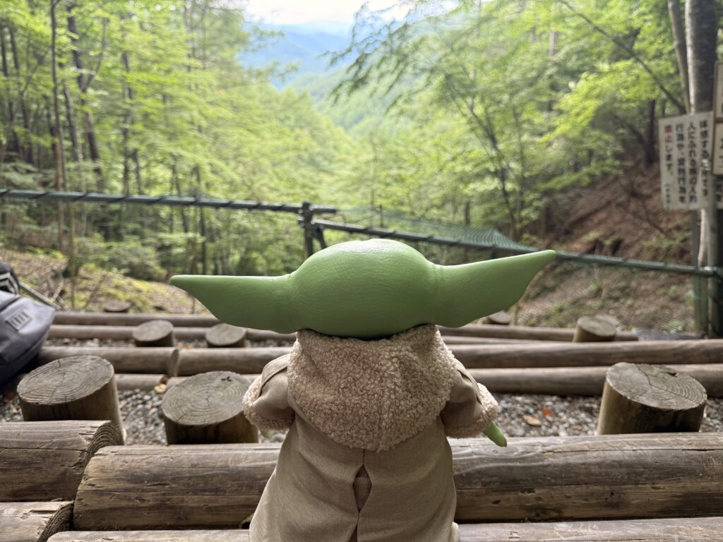 分杭峠の気場ベンチにてグローグーぬいぐるみの後ろ姿