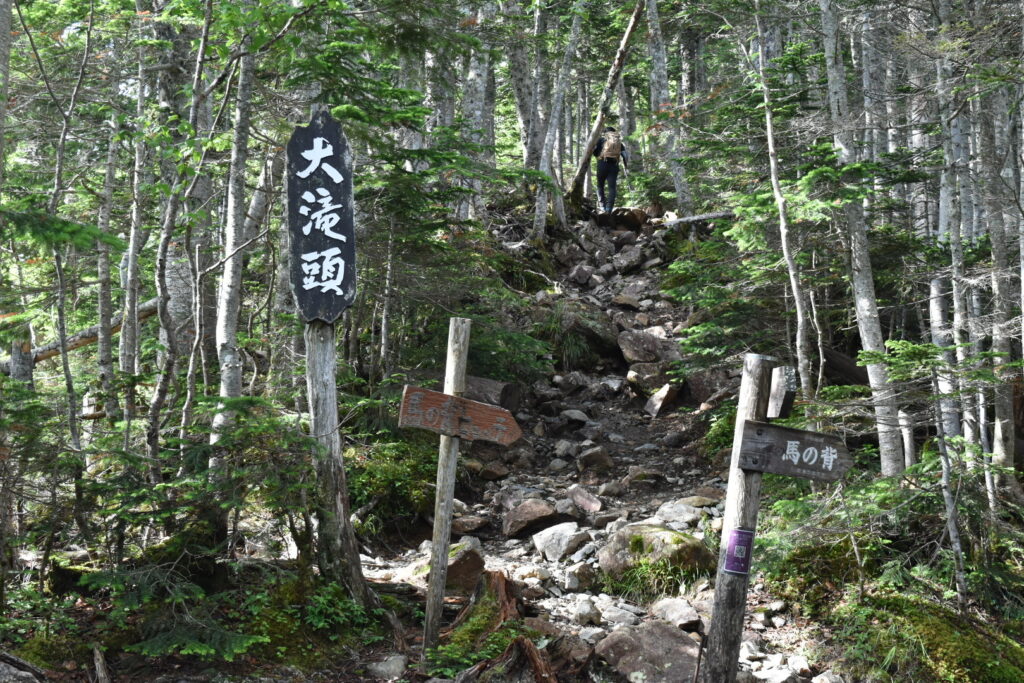 5合目大滝頭の分岐点