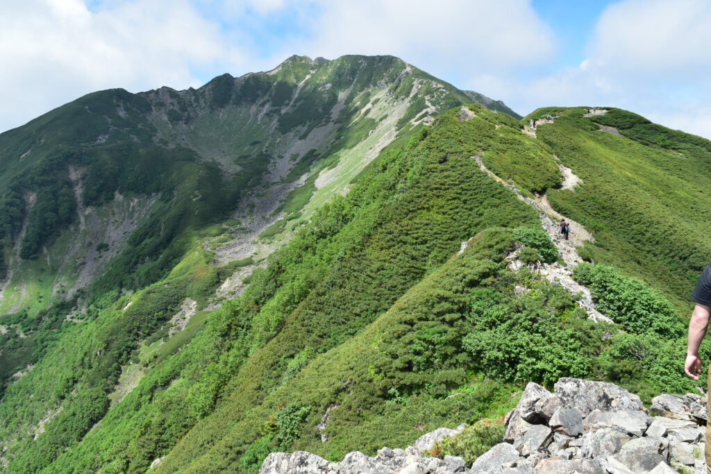 小仙丈ヶ岳から仙丈ヶ岳への稜線