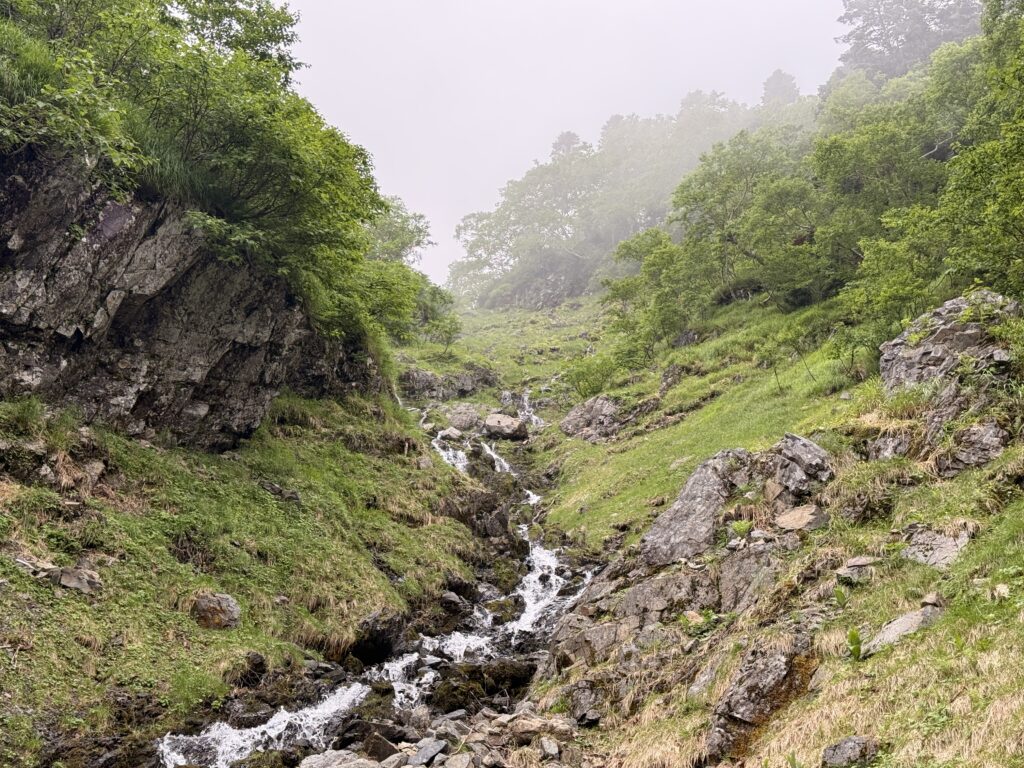 南アルプスの天然水が流れる川
