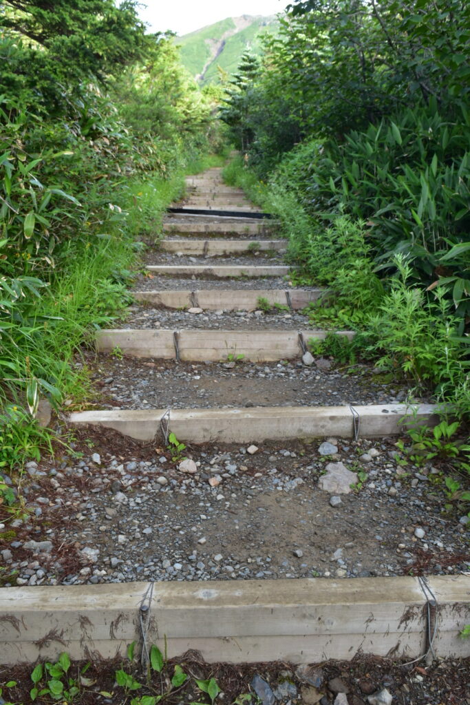 木道の階段